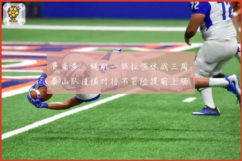 费南多腘绳肌一级拉伤休战三周，泰山队谨慎对待不冒险提前上场