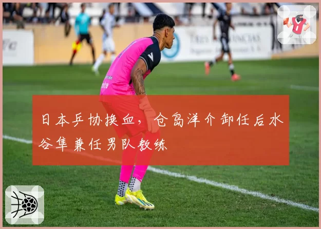 日本乒协换血,仓岛洋介卸任后水谷隼兼任男队教练